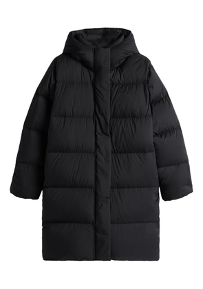 Tommy Hilfiger hooded padded coat - Black