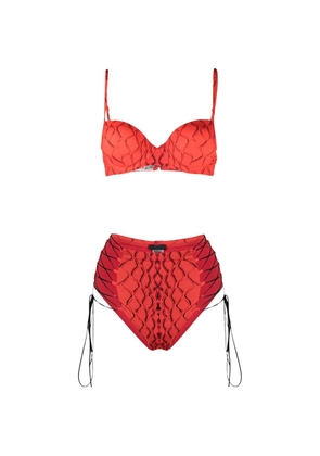 Noire Swimwear snake push-up bikini - Red