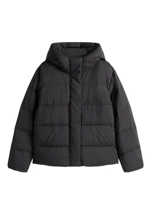 Tommy Hilfiger hooded puffer jacket - Black