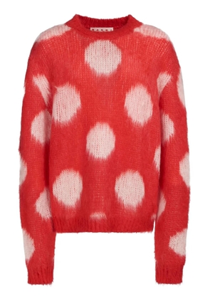 Marni polka-dot intarsia jumper - Red