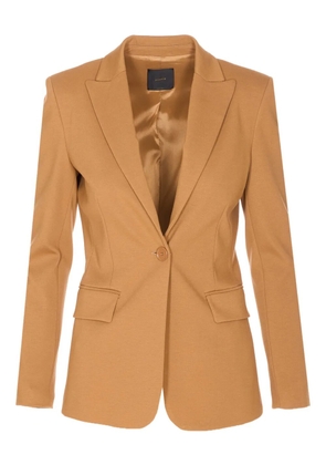 PINKO single-breasted blazer - Brown