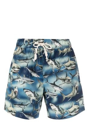 Palm Angels Sharks-print swim shorts - Blue