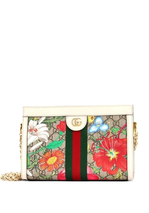 Gucci Pre-Owned Ophidia Chain Shoulder Bag Flora GG Coated Canvas Small crossbody bag - Neutrals