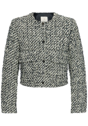 Moncler Dauphin tweed jacket - Black
