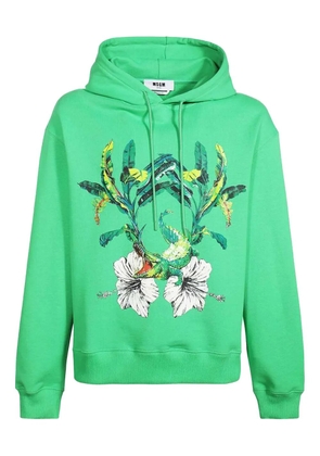 MSGM floral-print hoodie - Green