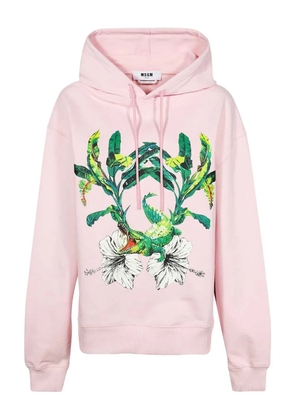 MSGM crocodile-print cotton hoodie - Pink