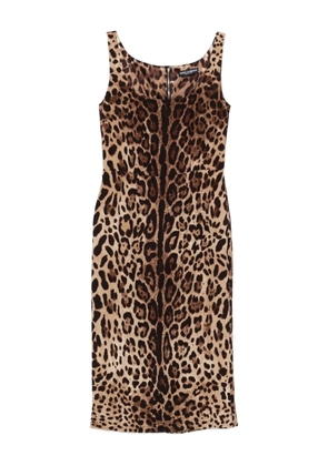 Dolce & Gabbana animal-print sleeveless midi dress - Brown