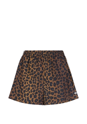 adidas logo stripe print shorts - Brown