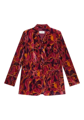 MALIPARMI floral velvet blazer - Red