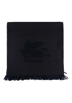 ETRO logo-embroidered scarf - Blue