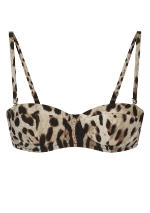 Dolce & Gabbana leopard-print balconette bikini top - Neutrals
