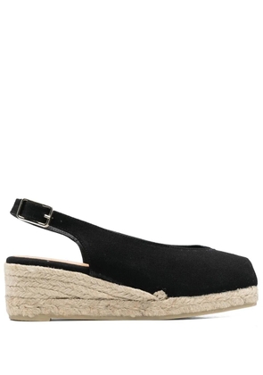 Castañer Dosalia 55mm wedge espadrilles - Black