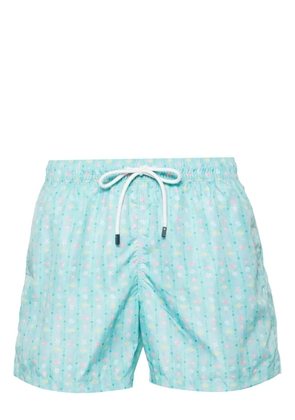 Fedeli Madeira swim shorts - Green