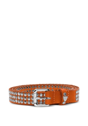 Htc Los Angeles studded belt - Orange