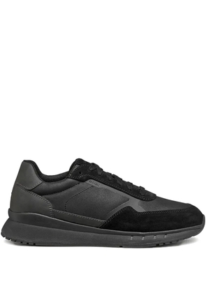 Geox lace-up sneakers - Black