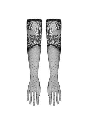 Maison Close Gants opéra lace polka-dot gloves - Black