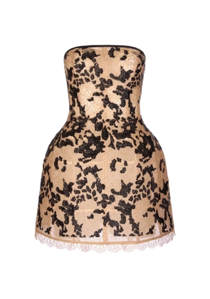 IMROSKA Imroska 29 lace strapless mini dress - Neutrals