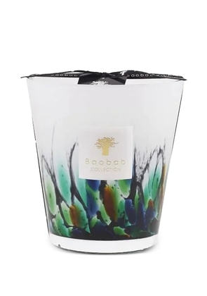 Baobab Collection Max 16 Rainforest Amazonia candles - White