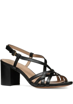 Geox leather heeled sandals - Black