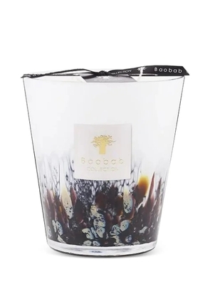 Baobab Max 16 Rainforest - Tanjung candle - White