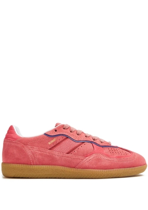 ALOHAS Tb.490 low-top suede sneakers - Pink