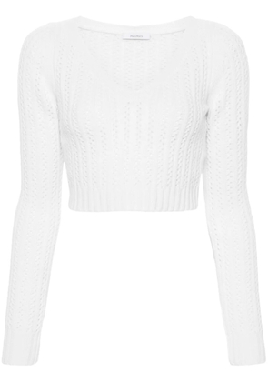 Max Mara Ifrem sweater - Neutrals