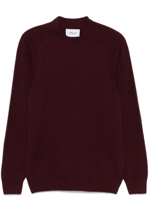 D4.0 virgin wool sweater - Red