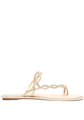 René Caovilla rhinestoned thong sandals - Neutrals