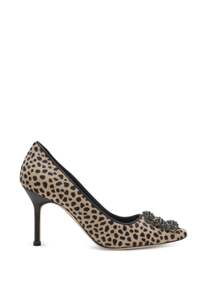Manolo Blahnik Hangisi leopard-print pumps - Brown