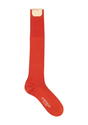 Fortela ribbed socks - Orange