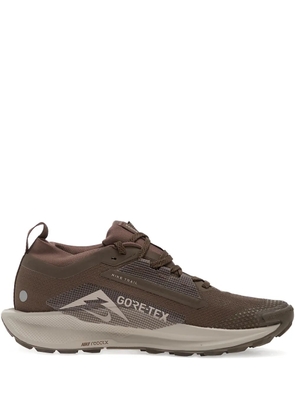 Nike Pegasus Trail 5 Gore-Tex sneakers - Brown