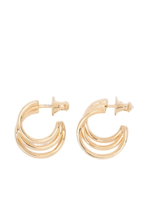 Shaun Leane Bound hoop earrings (size 3) - Gold