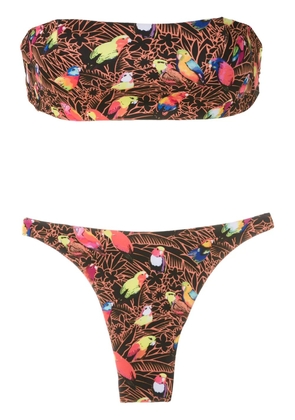 Amir Slama parrot-print bandeau bikini set - Black
