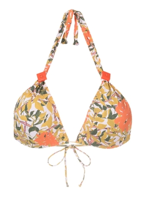 Clube Bossa Rings floral-print bikini top - Multicolour