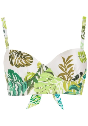 Amir Slama palm leaf print bikini top - Green
