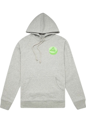Palace Tablet Tri-Ferg hoodie - Grey