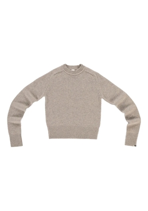 extreme cashmere N°80 Glory crew-neck sweater - Neutrals