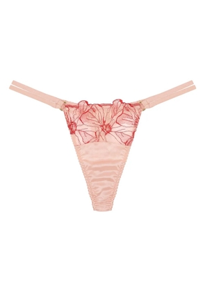 Fleur Of England Strap thong - Pink