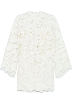 Elie Saab embroidered tulle mini dress - Neutrals