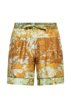 Pierre-Louis Mascia Aloe floral-print shorts - Brown