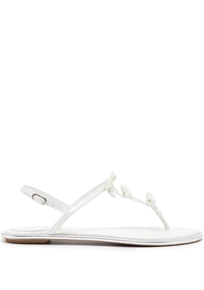 René Caovilla Caterina thong sandals - White