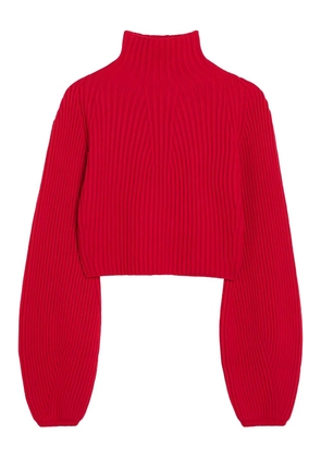 Sportmax Marmo ribbed turtleneck sweater - Red