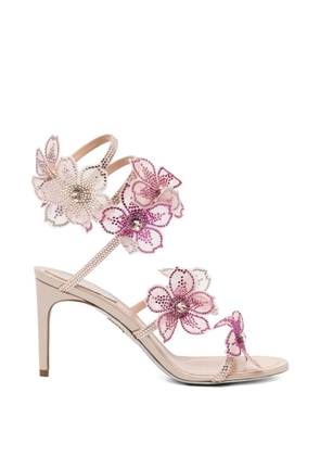 René Caovilla PEACH FLOWER Sandals - Neutrals