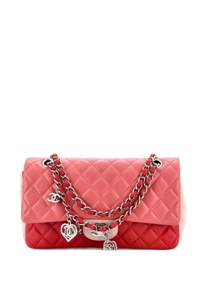 CHANEL Pre-Owned Tricolor Valentine Crystal Hearts Flap Bag Quilted Lambskin Medium shoulder bag - Multicolour