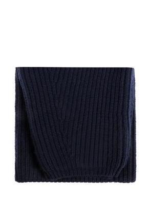 Lisa Yang ribbed scarf - Blue