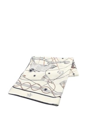 Hermès Pre-Owned 2010s Chorus Stellarum scarf - Neutrals
