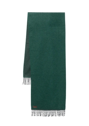 Canali cashmere scarf - Green