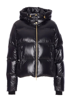 Moose Knuckles padded removable-hood down jacket - Black