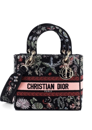 Christian Dior Pre-Owned Lady D-Lite Bag Embroidered Canvas Medium satchel - Multicolour