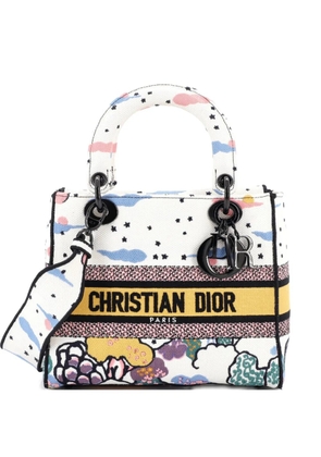 Christian Dior Pre-Owned Lady D-Lite Bag Embroidered Canvas Medium satchel - Multicolour